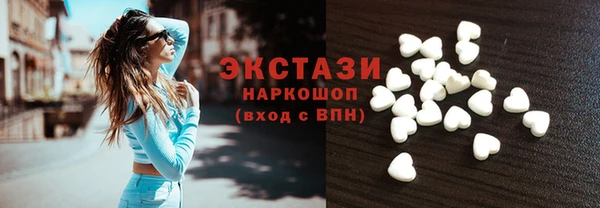 крисы Бородино