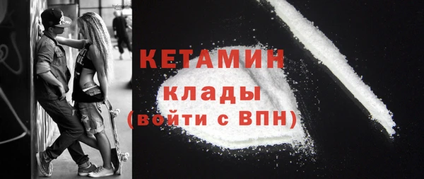 крисы Бородино