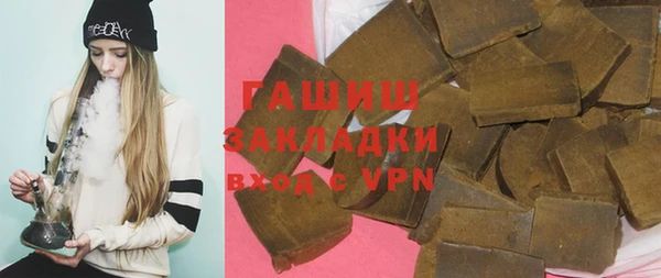 крисы Бородино
