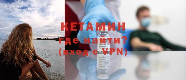 крисы Бородино