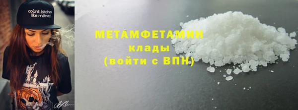 крисы Бородино