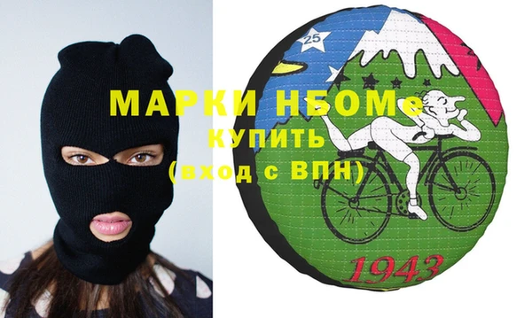 крисы Бородино