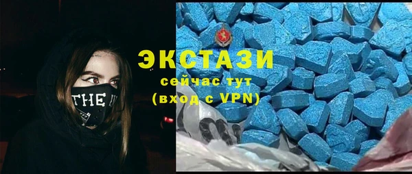 крисы Бородино