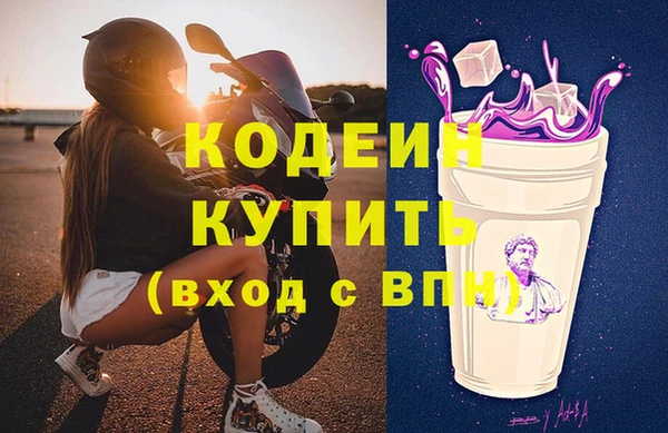крисы Бородино