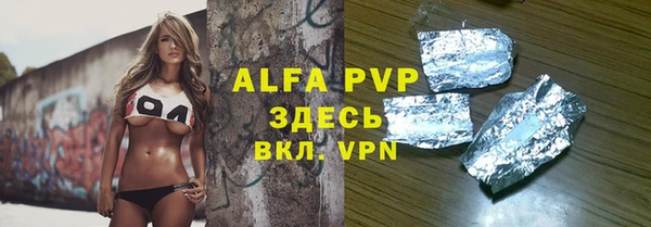 крисы Бородино