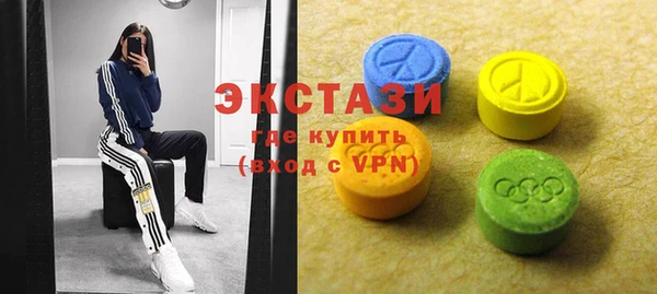 крисы Бородино