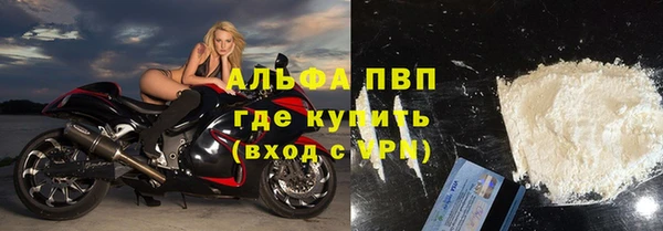 крисы Бородино
