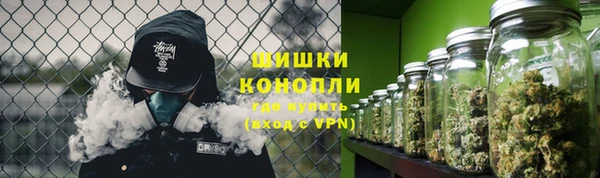 ПСИЛОЦИБИНОВЫЕ ГРИБЫ Верхний Тагил