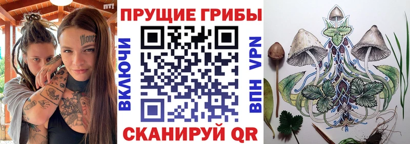 что такое наркотик  Горно-Алтайск  blacksprut ссылка  Галлюциногенные грибы прущие грибы 