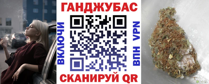 Каннабис планчик Горно-Алтайск